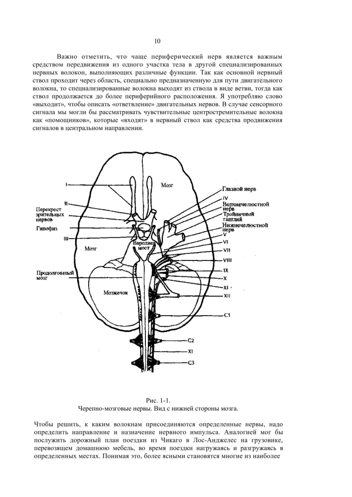 Terapia czaszkowo-krzyżowa. Księga 2